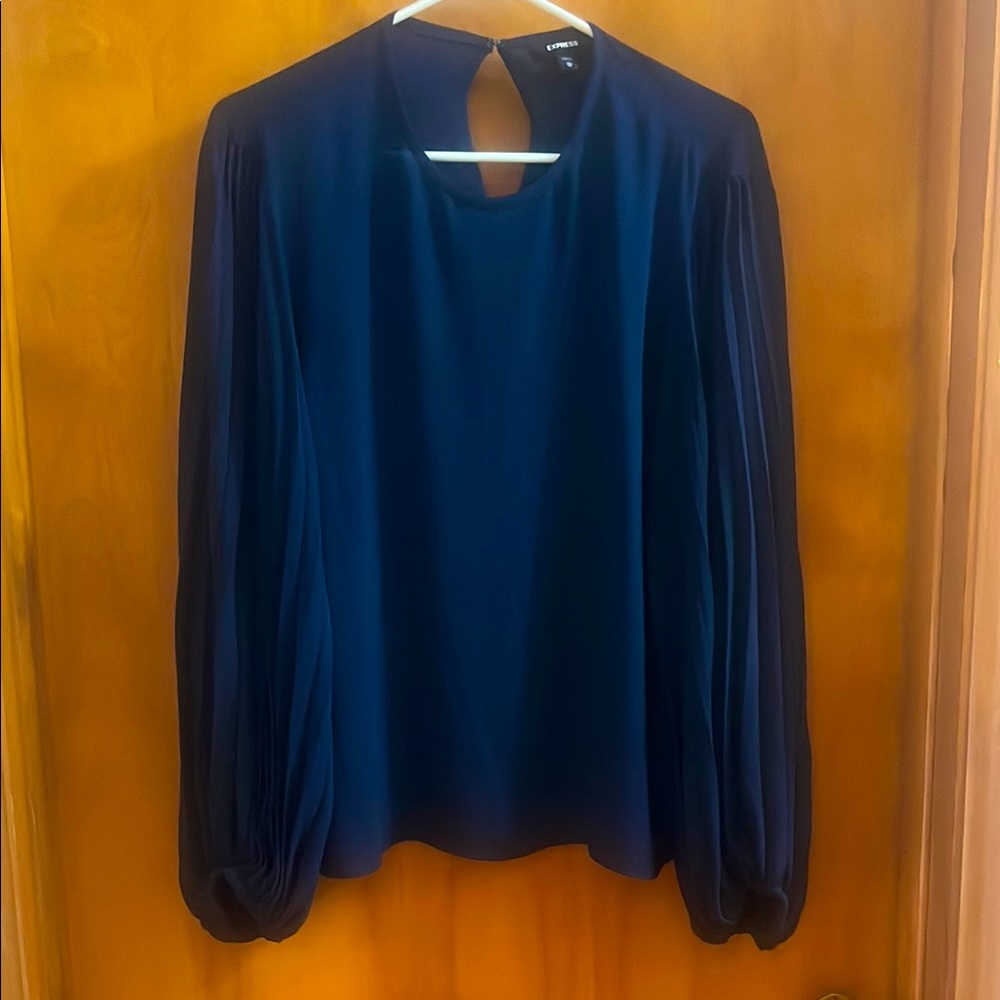 Express Blue Long Puff Sleeve Blouse
